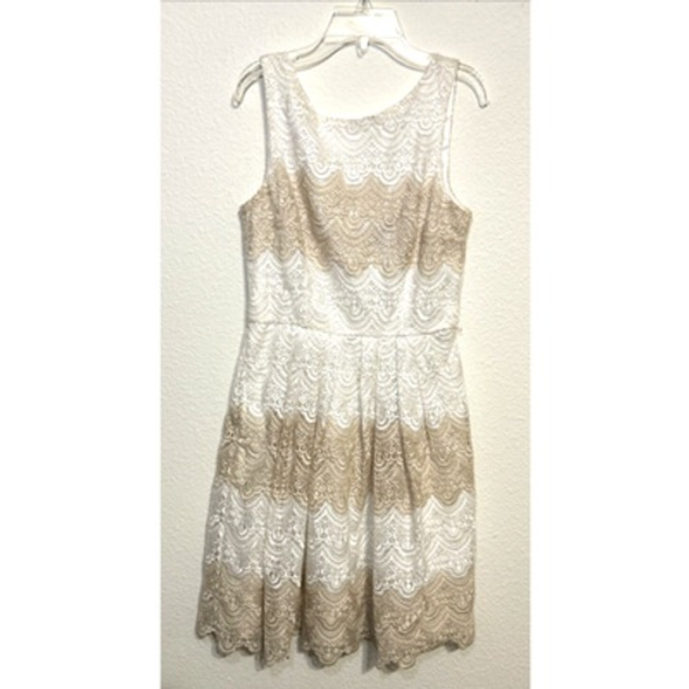 White House Black Market Lace Dress 6 Ivory Tan Scalloped Fit Flare Cocktail